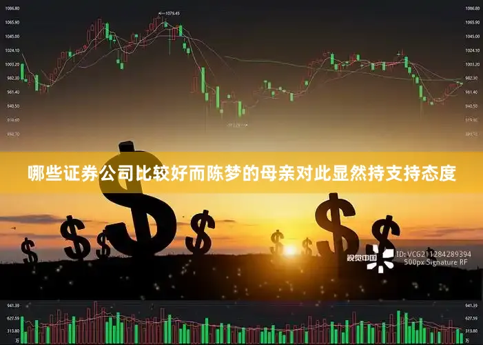哪些证券公司比较好而陈梦的母亲对此显然持支持态度