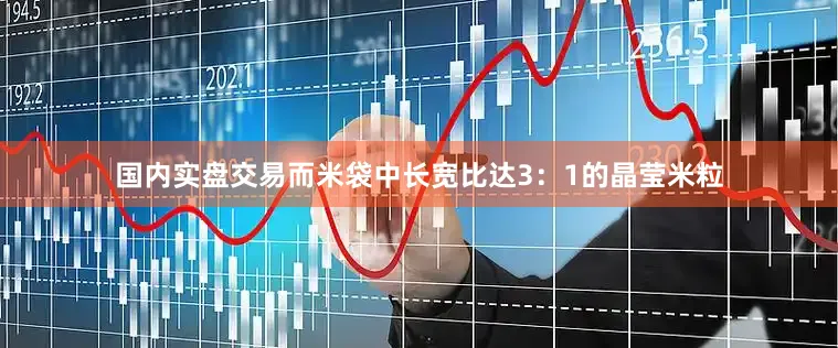 国内实盘交易而米袋中长宽比达3：1的晶莹米粒