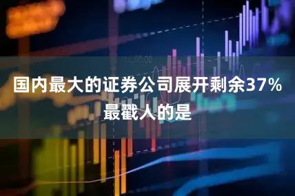 国内最大的证券公司展开剩余37%最戳人的是